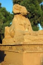 Ancient Egyptian Ram Sphinx, Karnak Temple, Luxor, Egypt