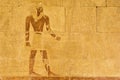 Ancient Egyptian relief painting on temple stone wall