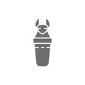 Ancient egyptian sarcophagus, Canopic jars grey icon. Royalty Free Stock Photo