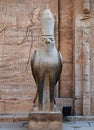 Ancient egyptian statue of falcon god Horus at the Temple of Edfu. Egypt Royalty Free Stock Photo