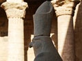 Ancient egyptian statue of falcon god Horus at the Temple of Edfu. Nubia, Egypt Royalty Free Stock Photo