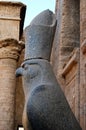 Ancient egyptian statue of falcon god Horus at the Temple of Edfu. Nubia, Egypt Royalty Free Stock Photo