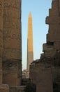 Obelisk in the sunshine, Temple of Karnak, Luxor, Egypt Royalty Free Stock Photo