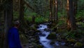 Ancient enchanted forest in Washington - USA