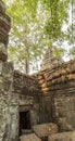 Ancient enclosure of Ta Prohm temple, Angkor Thom, Siem Reap, Cambodia.