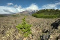 1832 ancient encrusted lava cooled around Egitto Mount under Etna Mount