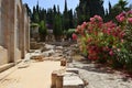 Ancient excavations, Church of all Nations, Mount of Olives, Garden of Gethsemane in Jerusalem Royalty Free Stock Photo