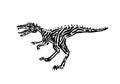 Ancient extinct jurassic velociraptor dinosaur vector illustration ink painted, hand drawn grunge prehistoric reptile, black Royalty Free Stock Photo