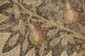 Ancient floor Byzantine mosaic from the churches of the city of