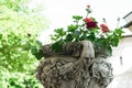 Ancient flower pot holder made from brute stone - very old sculpture with scarry face - gothic style