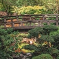Ancient foot bridge in the Portland Japanese Garden