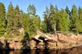 Ancient forest in Imatra, Finland Royalty Free Stock Photo