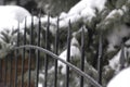 Ancient forged fence made of metal and stone in winter Royalty Free Stock Photo