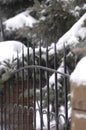 Ancient forged fence made of metal and stone in winter Royalty Free Stock Photo