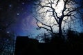 Ancient Fort at night under stars