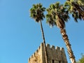 Ancient fortress tower and tall palm trees Royalty Free Stock Photo