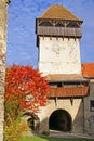 Ancient fortress in transylvania