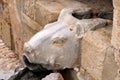 Ancient fountain in the form of bull head in the Ayia Napa monastery, Ayia Napa, Cyprus