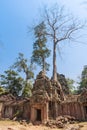 Ancient gallery of amazing Ta Prohm temple overgrown with trees. Mysterious ruins of Ta Prohm nestled among rainforest Royalty Free Stock Photo