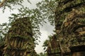 Ancient gallery of amazing Ta Prohm temple overgrown with trees, Cambodia Royalty Free Stock Photo