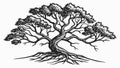 Ancient Gnarly Tree: Detailed Nature Illustration, vector design Generative AI Royalty Free Stock Photo