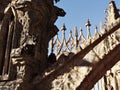 Ancient gothic stone architecture ruins with a detailed view of a gargoyle statue.