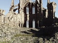 Ancient gothic stone architecture ruins with gargoyle statues interior view. Royalty Free Stock Photo