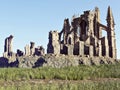 Ancient gothic stone architecture ruins with gargoyle statues in an open field.