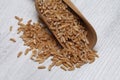 Ancient grain kamut, Khorasan wheat