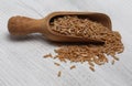 Ancient grain kamut, Khorasan wheat Royalty Free Stock Photo