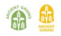 Ancient grains icon - emblem for healthy nutrition