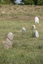 Ancient grave markers carved by Nestorian Christians near Burana Tower in Kyrgyzstan