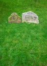 Ancient gravestones side by side in green grass cemetery vertical