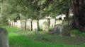 Ancient gravestones or tombstones in a churchyard.