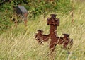 Ancient Graveyard with Rusty Iron Cross in Grass field