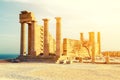 Ancient Greek acropolis. Front view of columns and walls. near the tree grows.