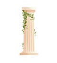 Ancient Greek column with ivy climbing branches. Roman pillar. Building design elements and decoration. Cartoon vector