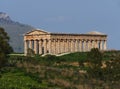 Ancient Greek Doric temple, Segesta, archaeological site, Sicily, Italy Royalty Free Stock Photo