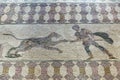 Ancient Greek floor mosaic in archaeologic park Kato Paphos, Cyprus. Royalty Free Stock Photo
