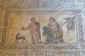 Ancient Greek floor mosaic in archaeologic park Kato Paphos, Cyprus. Royalty Free Stock Photo