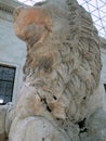 Ancient Greek Lion Statue, British Museum, London, United Kingdom.