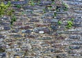 Ancient Grey/Red Stone Wall Texture