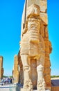 Ancient guard of Persepolis, Iran