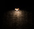 An ancient hanging bulb in the darkness creating ghosty environment, spooky lamp lights, spectrum, supernatural.