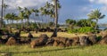 Ancient Hawaiian temple, or Heiau, Royalty Free Stock Photo