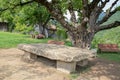 Ancient hazelnut tree and huge slab table on the grounds of the house-museum of Georgian poet Akaki Tsereteli in Village Skhvitori