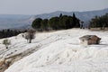 Ancient hellenic tomb submerged in travertine pool in Hierapolis, Pamukkale in Turkey scenic view