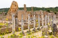 Ancient Hellenistic city gates and Agora in the antiquity city of Perge