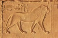 Ancient hieroglyphics on the walls of Karnak temple complex, Lux Royalty Free Stock Photo