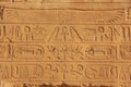 Ancient hieroglyphics on the walls of Karnak temple complex, Lux